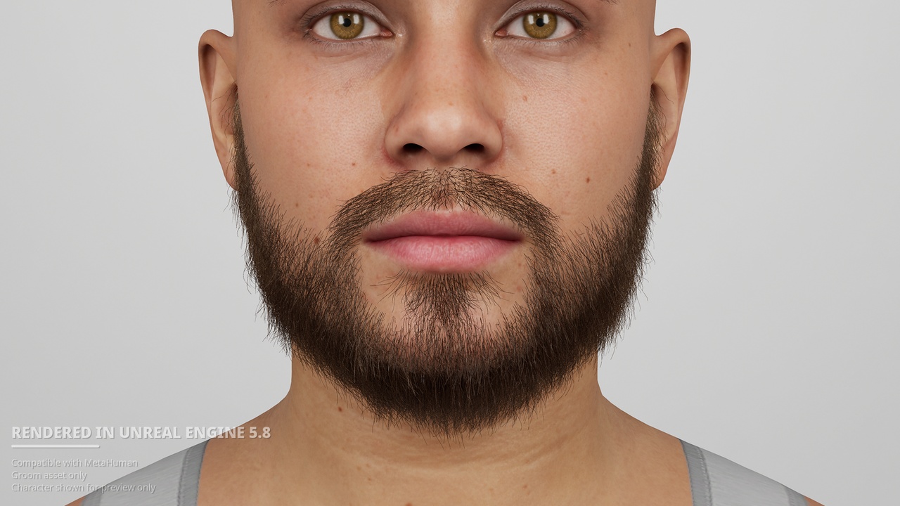 Media 1 for listing Medium Low Boxed Beard with Connected Mustache - MetaHuman Groom Hair Facial