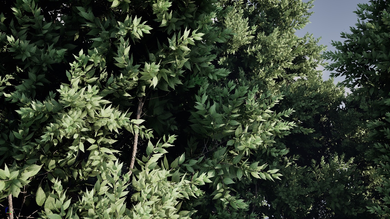 Media 1 for listing HighPoly Tree Pack 17
