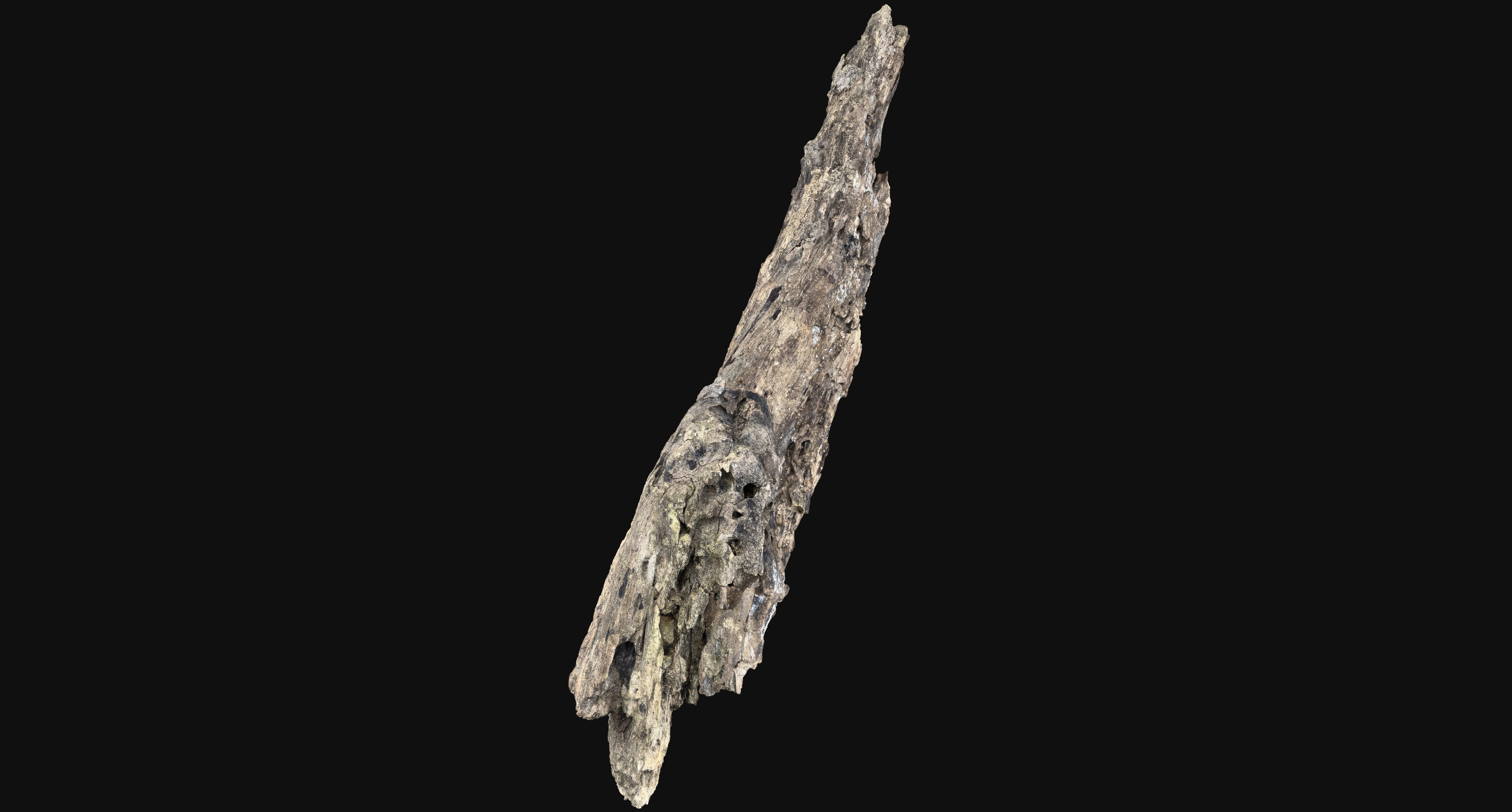 Root Texture Rotten Rotten Tree trunk wood 3d scan highpoly | Fab