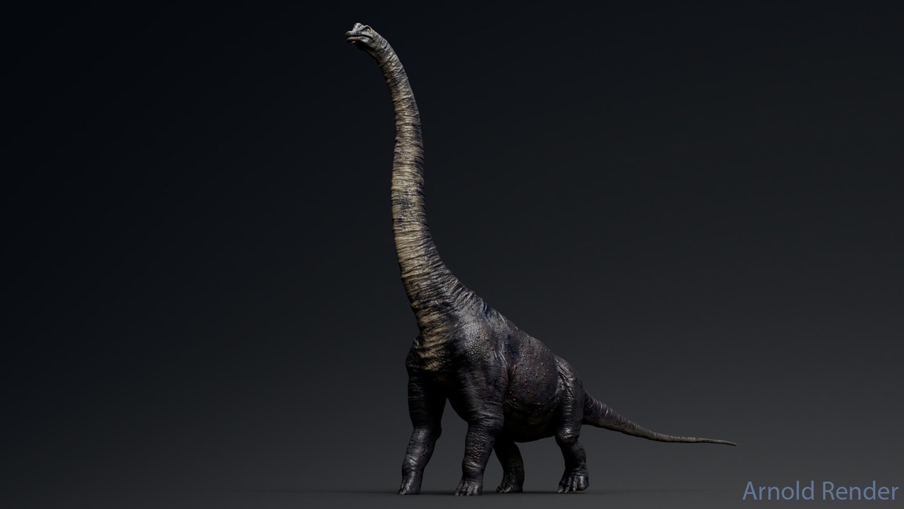 Dinosaur Brachiosaurus Sauropod
