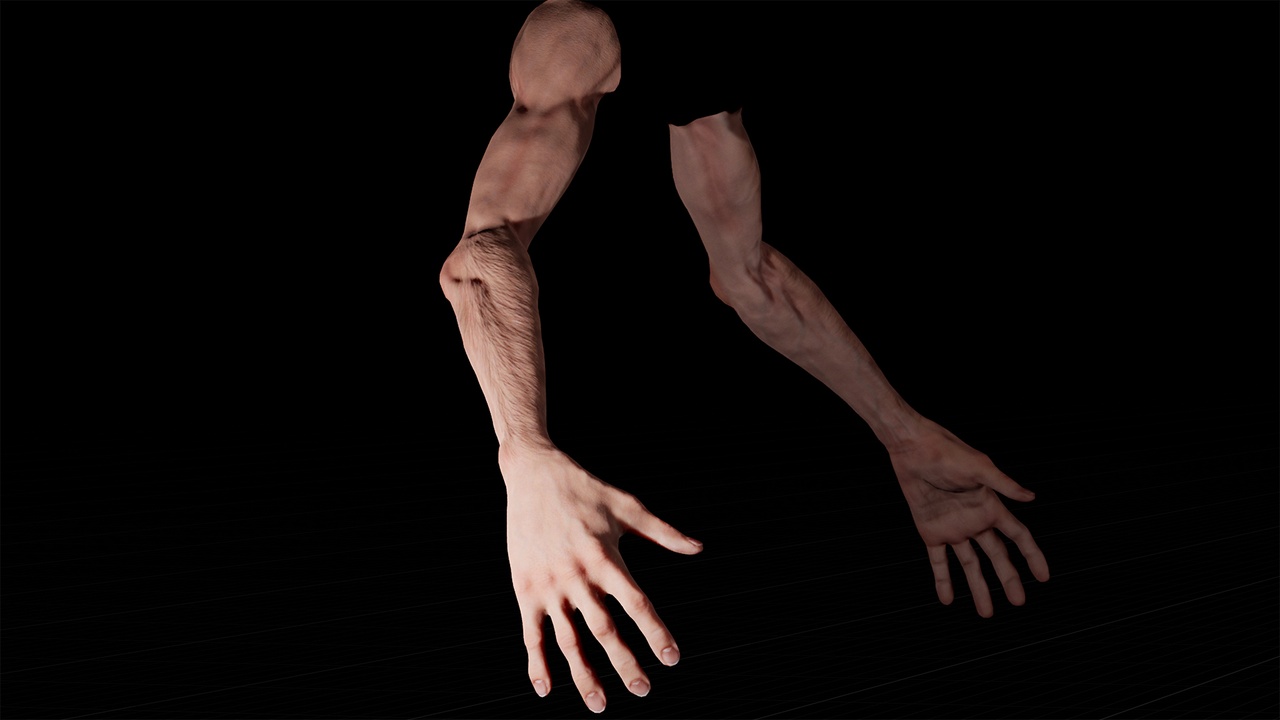 Media 1 for listing First Person Base Arms Vol. 1 - Skinny Male
