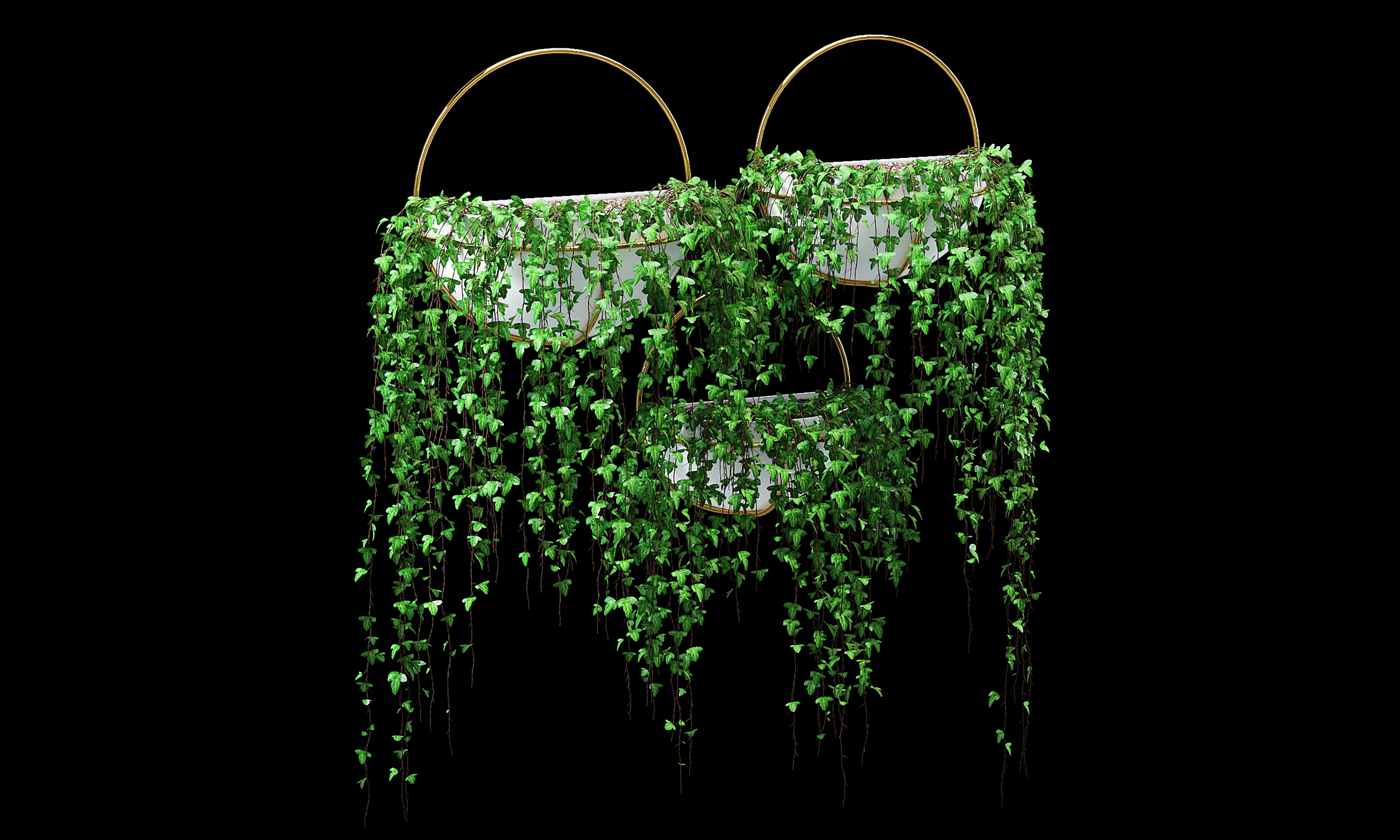 Bigler ivy | Fab