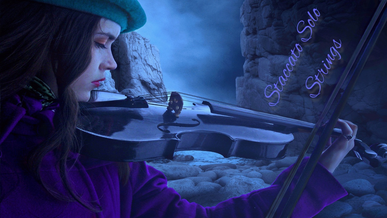 Media 1 for listing Staccato Solo Strings