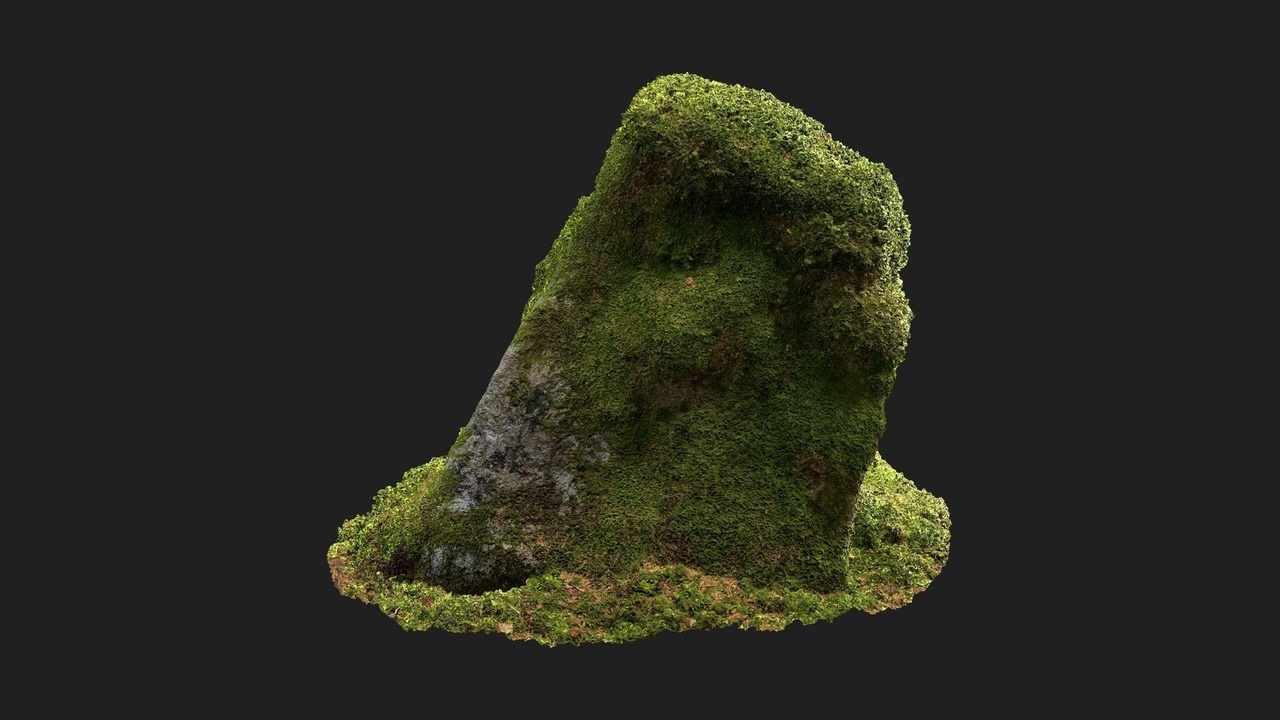 商品 Mossy Rock 的媒体 1