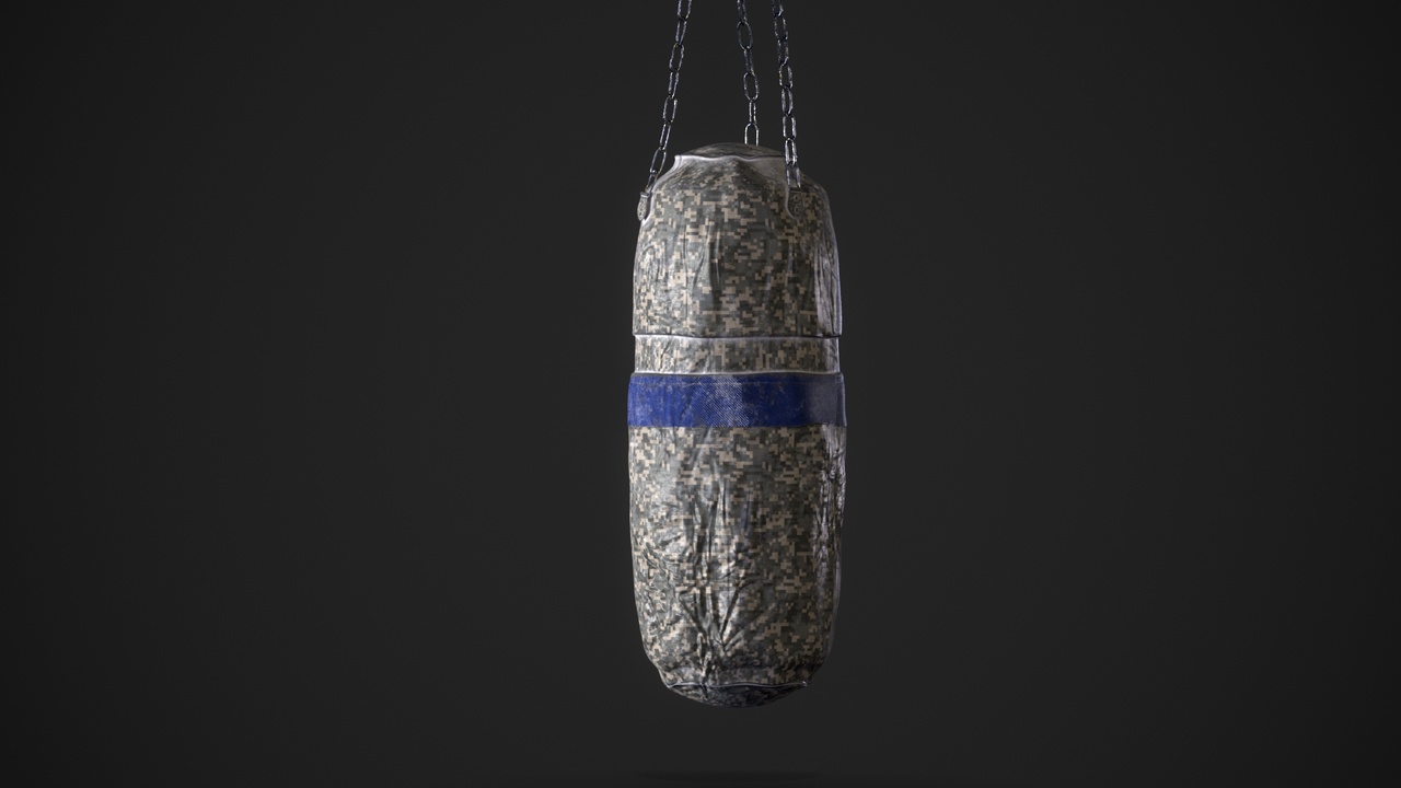 Media 1 for listing Realistic Worn Boxing Bag