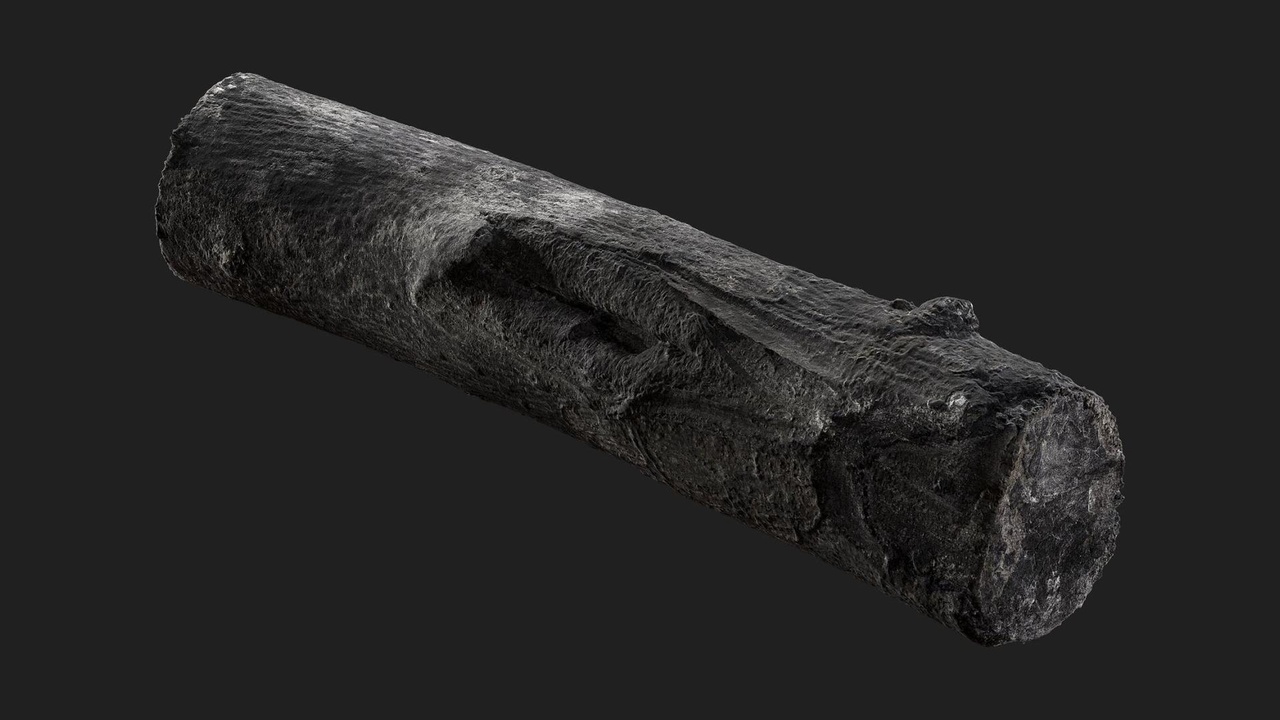 Media 1 for listing Burnt Firewood