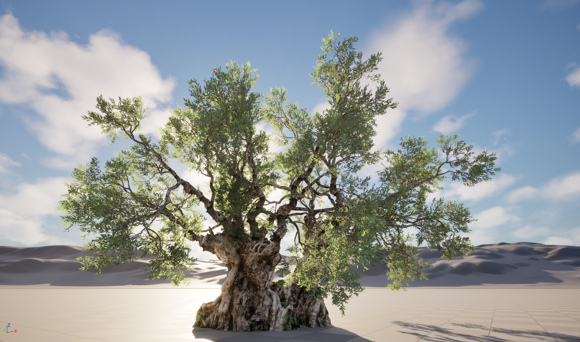 Media 1 for listing Nanite Wind Plants - Scanned Olea europaea - Common olive 18