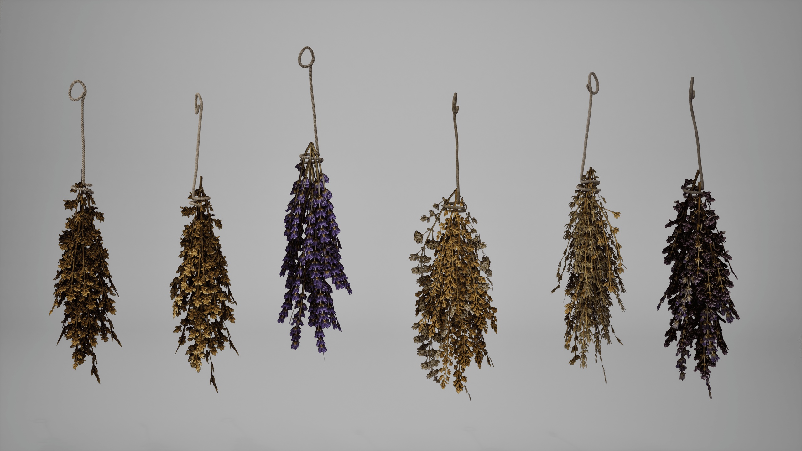 Media 1 for listing Medieval Dried Hanged Herbs