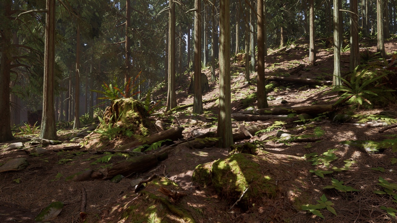 Media 1 for listing Photogrammetry Forest Pack