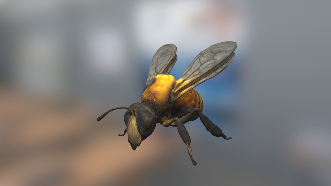 Media 1 for listing Realistic Honey Bee
