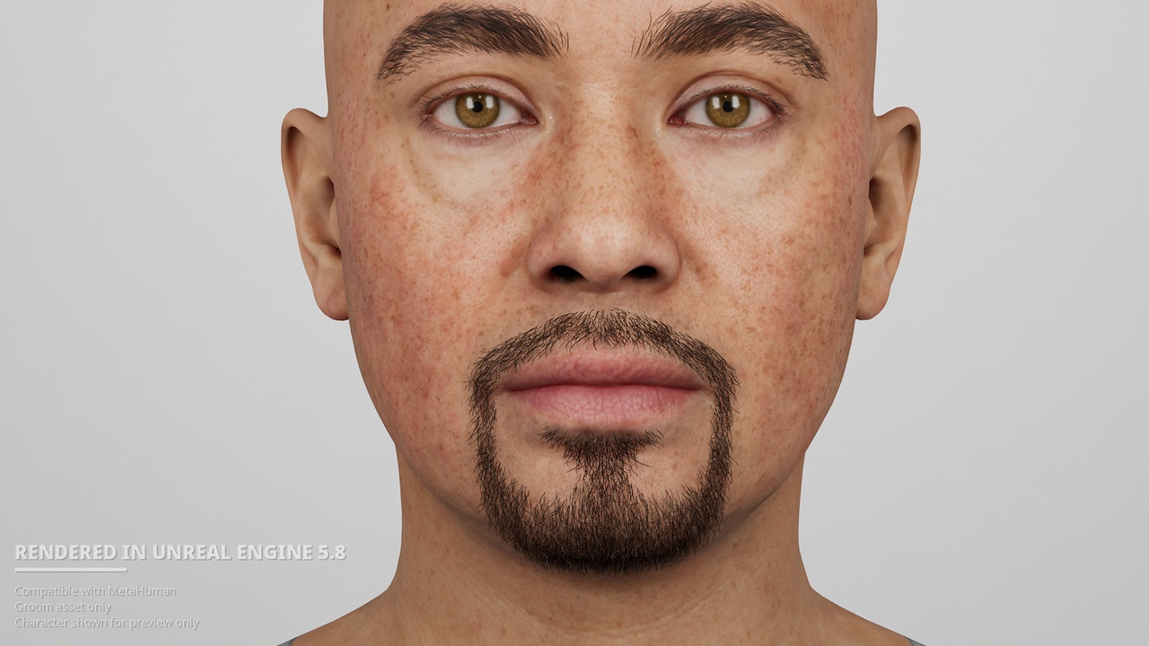 Media 1 for listing Natural Extended Goatee Beard with Connected Moustache - MetaHuman Groom
