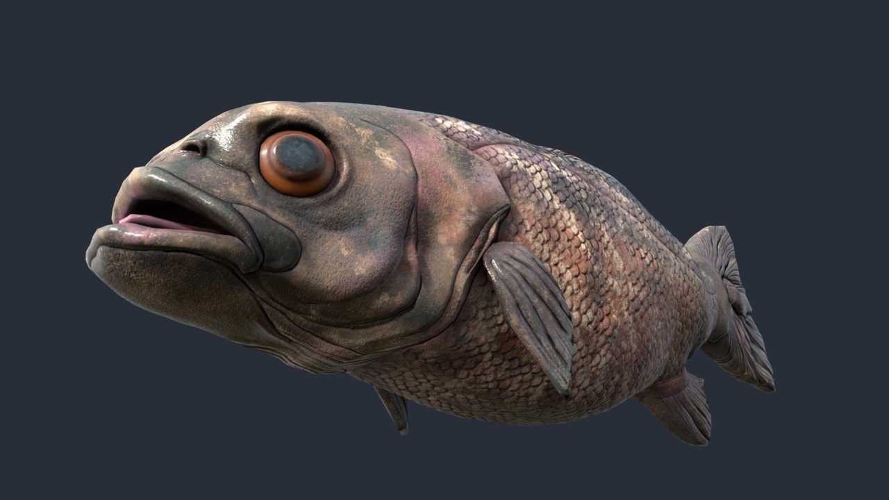 Media 1 for listing Oceanic Fish