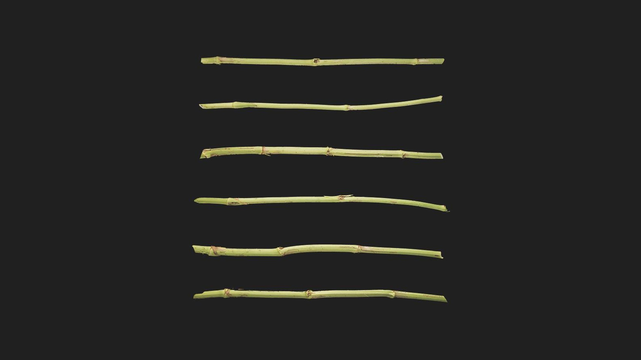 Mugwort 제품 등록을 위한 미디어 1개