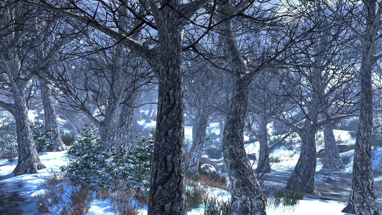 Media 1 for listing Realistic Low Poly Winter Trees 35M
