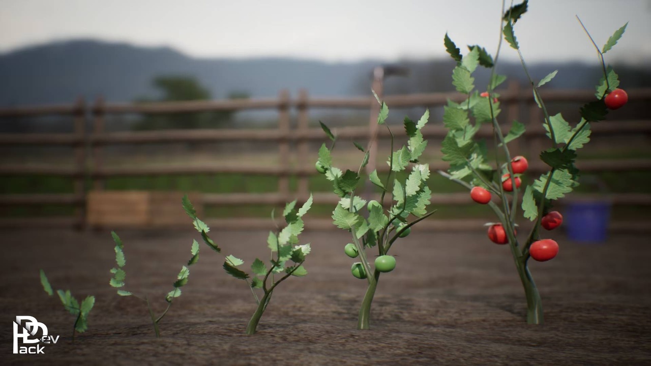 出品Growing Farm Plants / 30 Assetsのメディア1