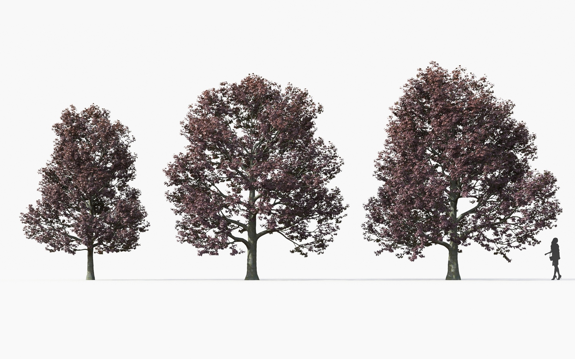 GrowFX+Mesh American Canada Trees | Fab