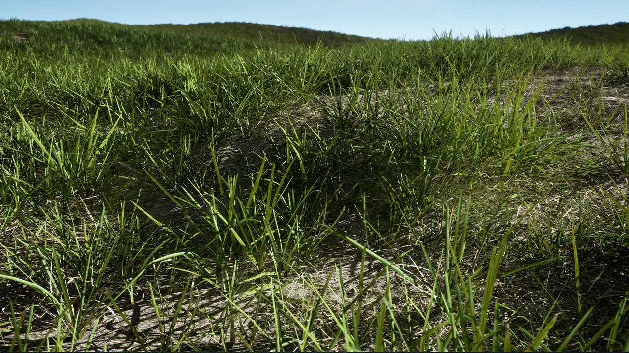 Media 1 for listing Nanite Grass Pack