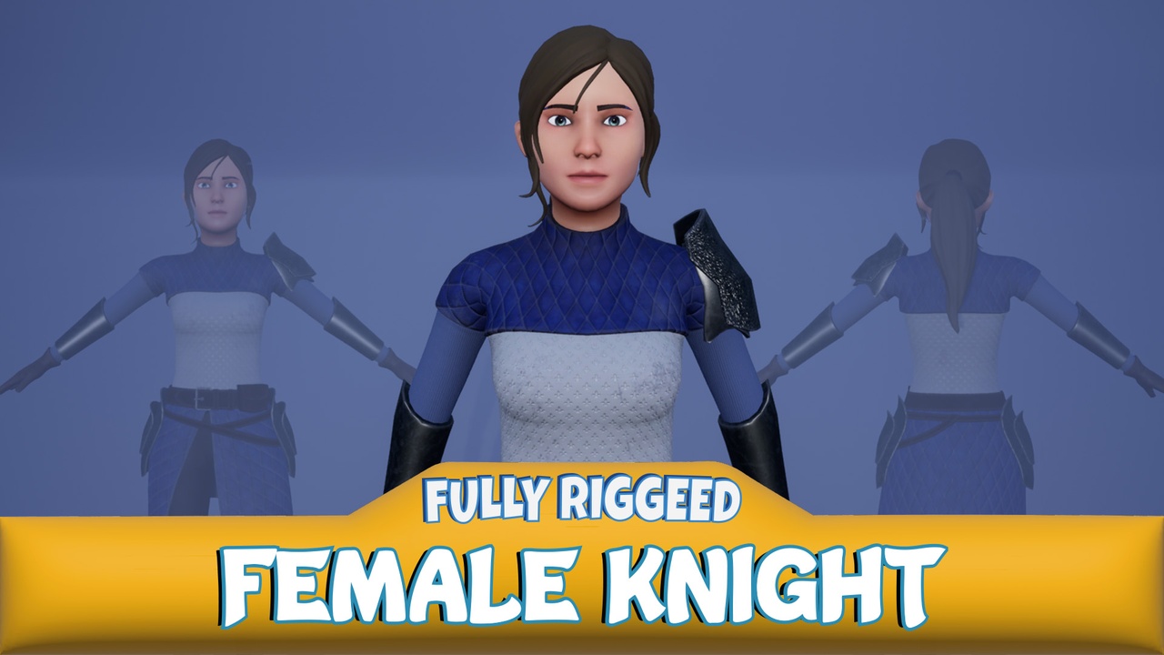 Media 1 for listing Medieval Knightness