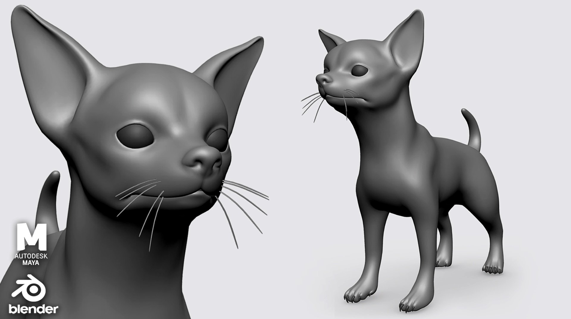 Media 1 for listing Chihuahua Dog - Topology + UV Map