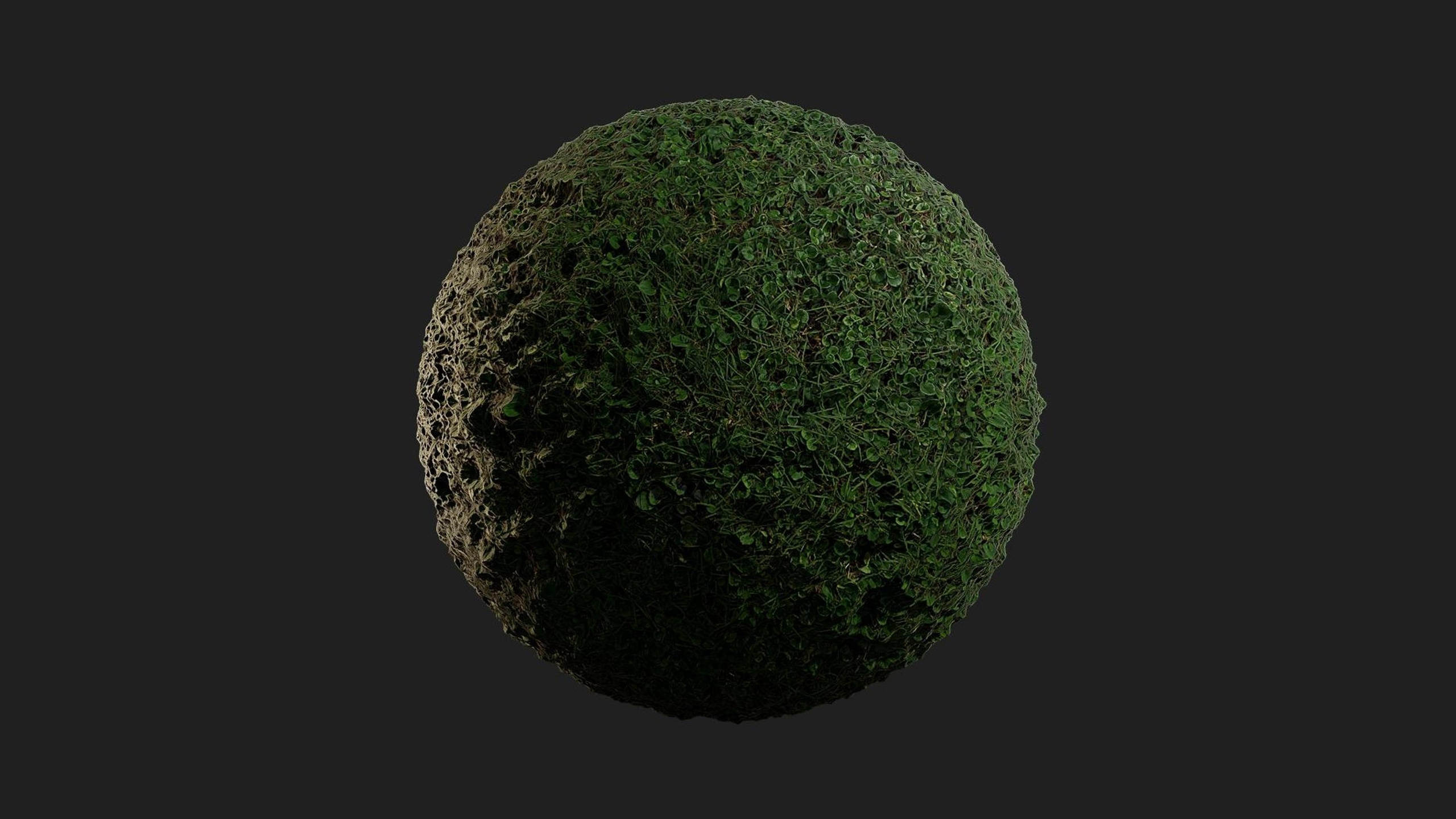 Media 1 for listing Grass