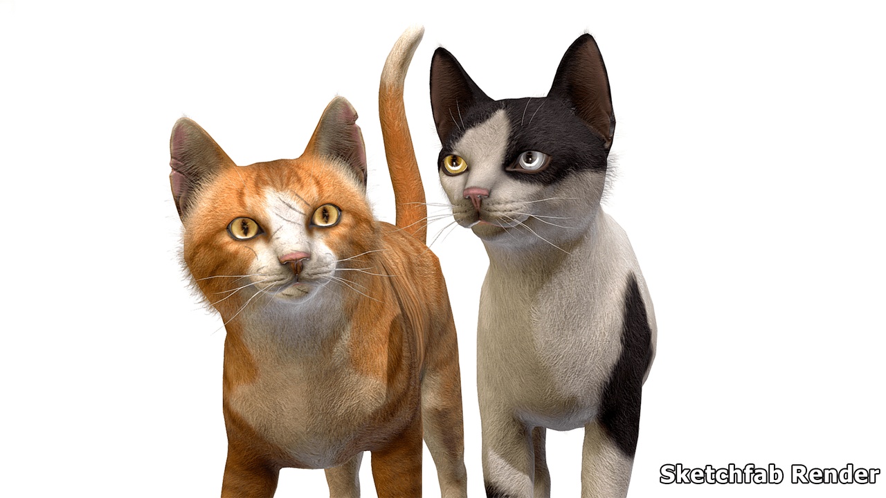 商品 Cats - Strays 的媒体 1