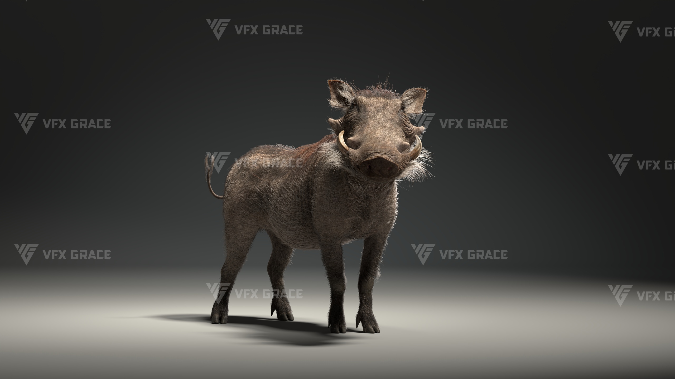 Media 1 for listing Warthog Animation | Blender 3D Model