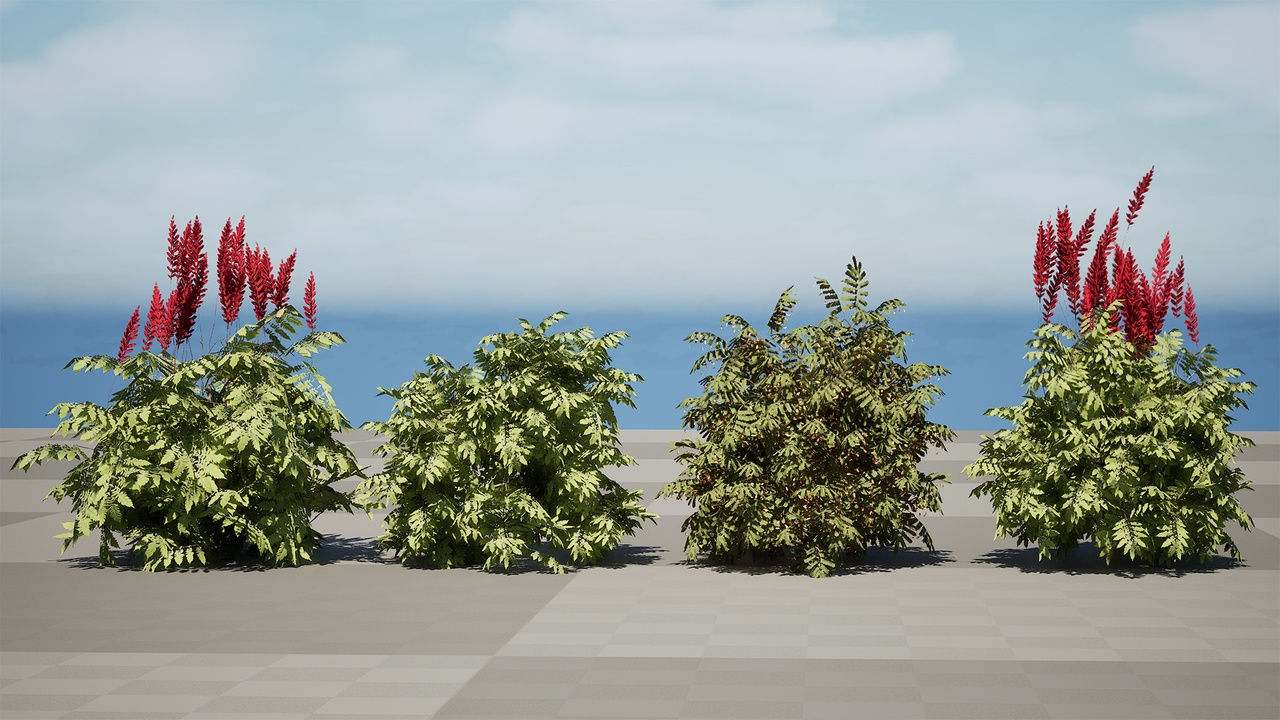 Media 1 for listing South African Honey Flower 3D Models