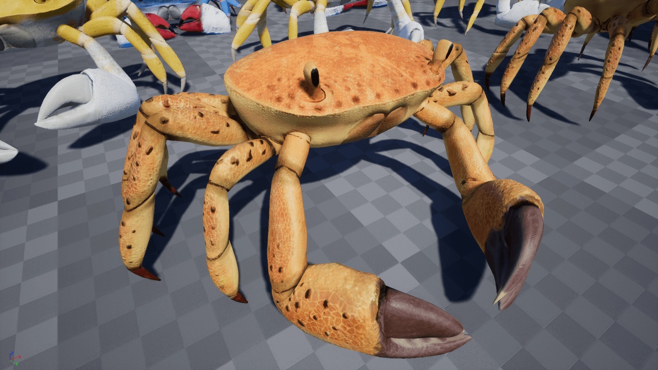 Media 1 for listing Crab - Animated Creature