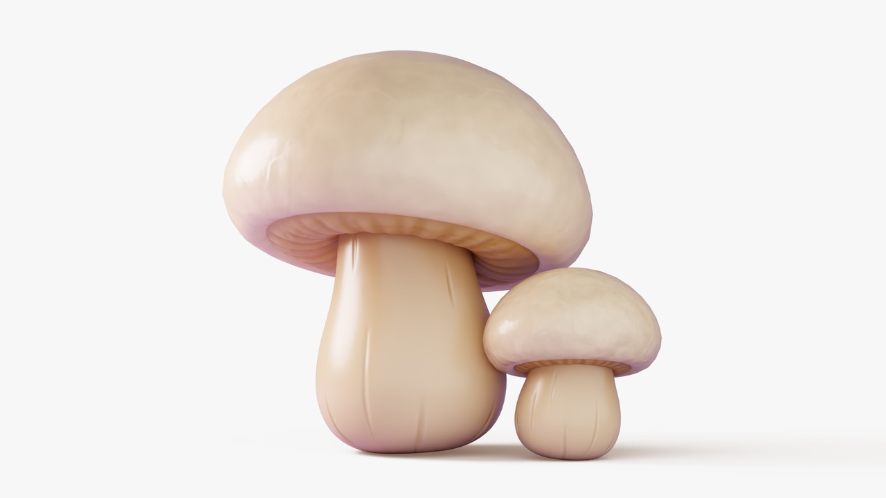 Media 1 for listing Cartoon Champignon Mushrooms