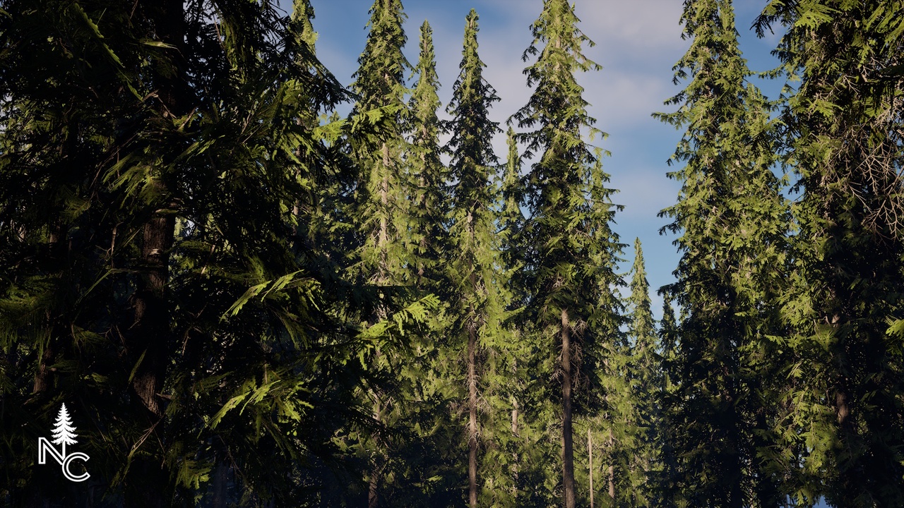 Media 1 for listing Realistic Douglas Fir Pack