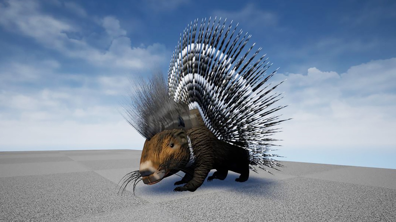 Media 1 for listing Porcupine