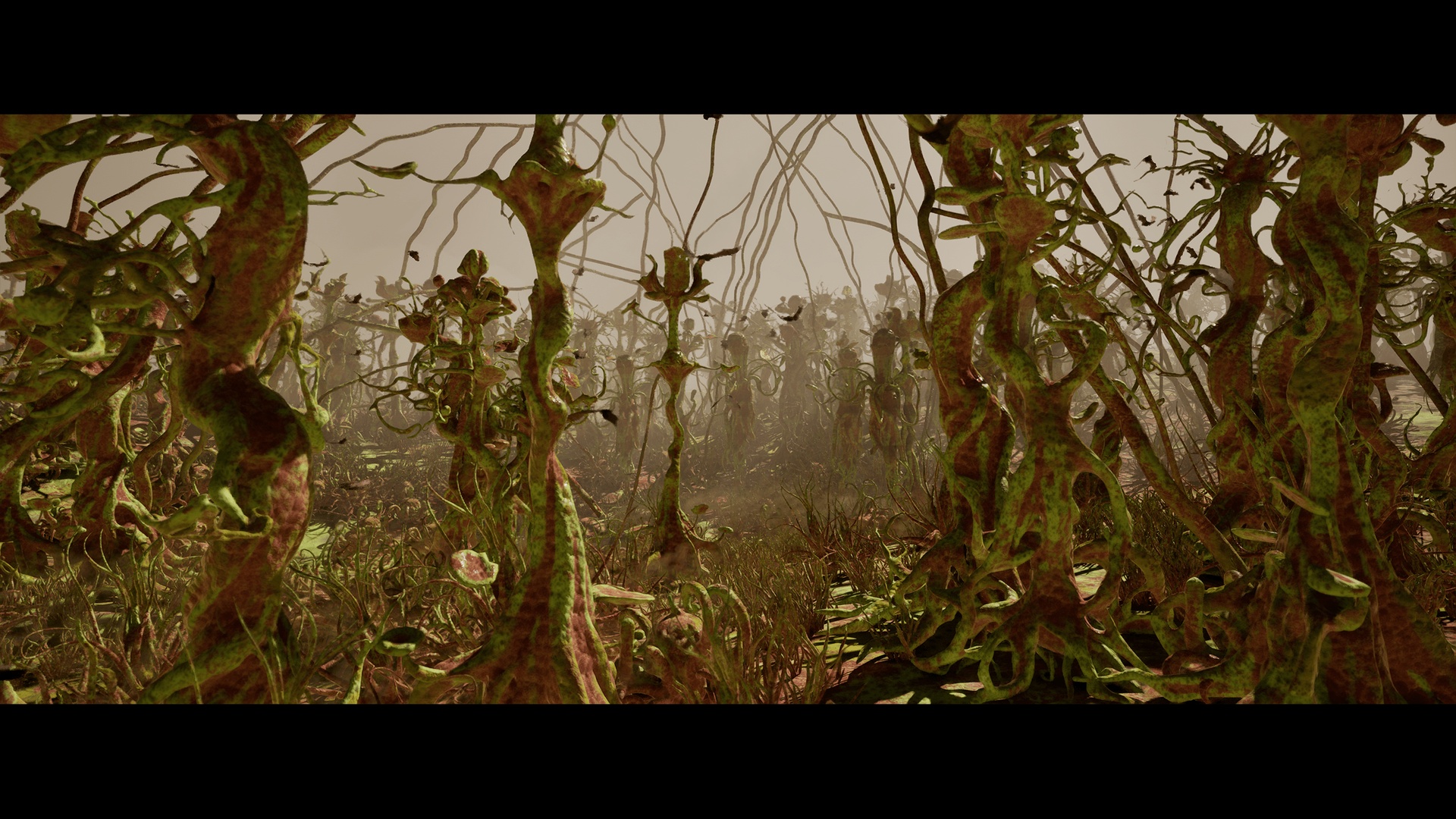 Media 1 for listing Alien Nature