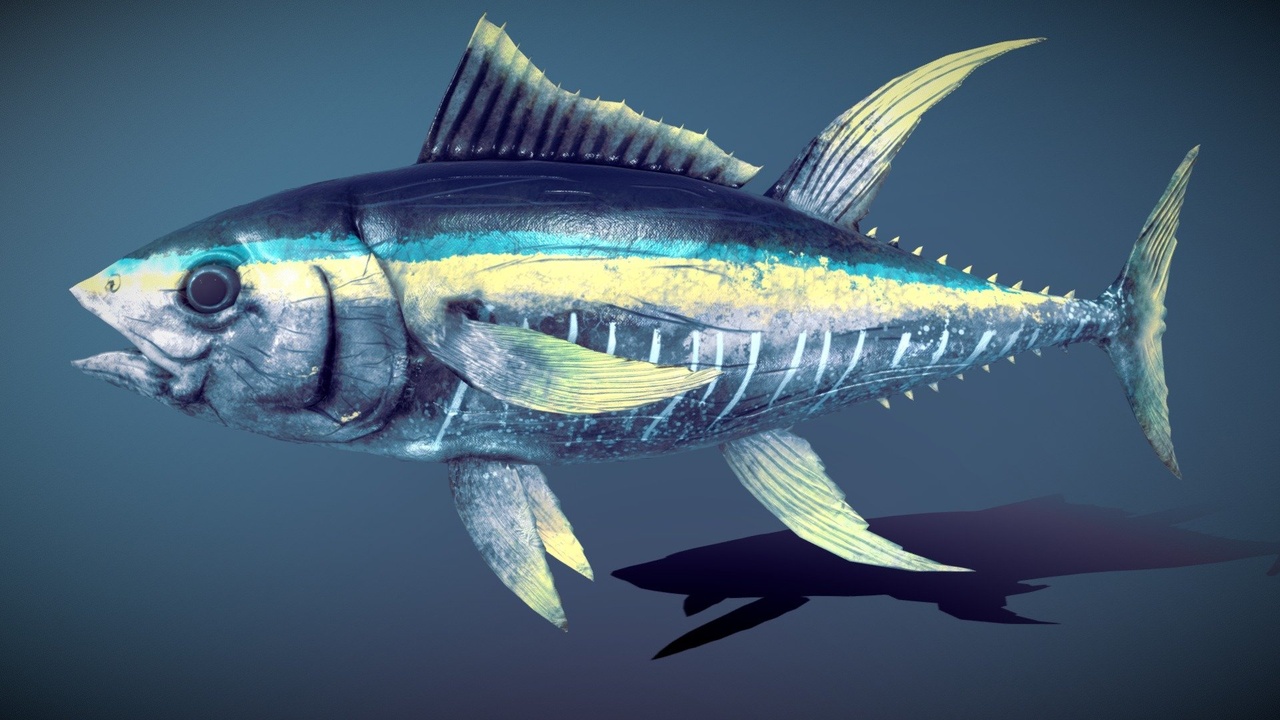 Media 1 for listing Tuna Fish