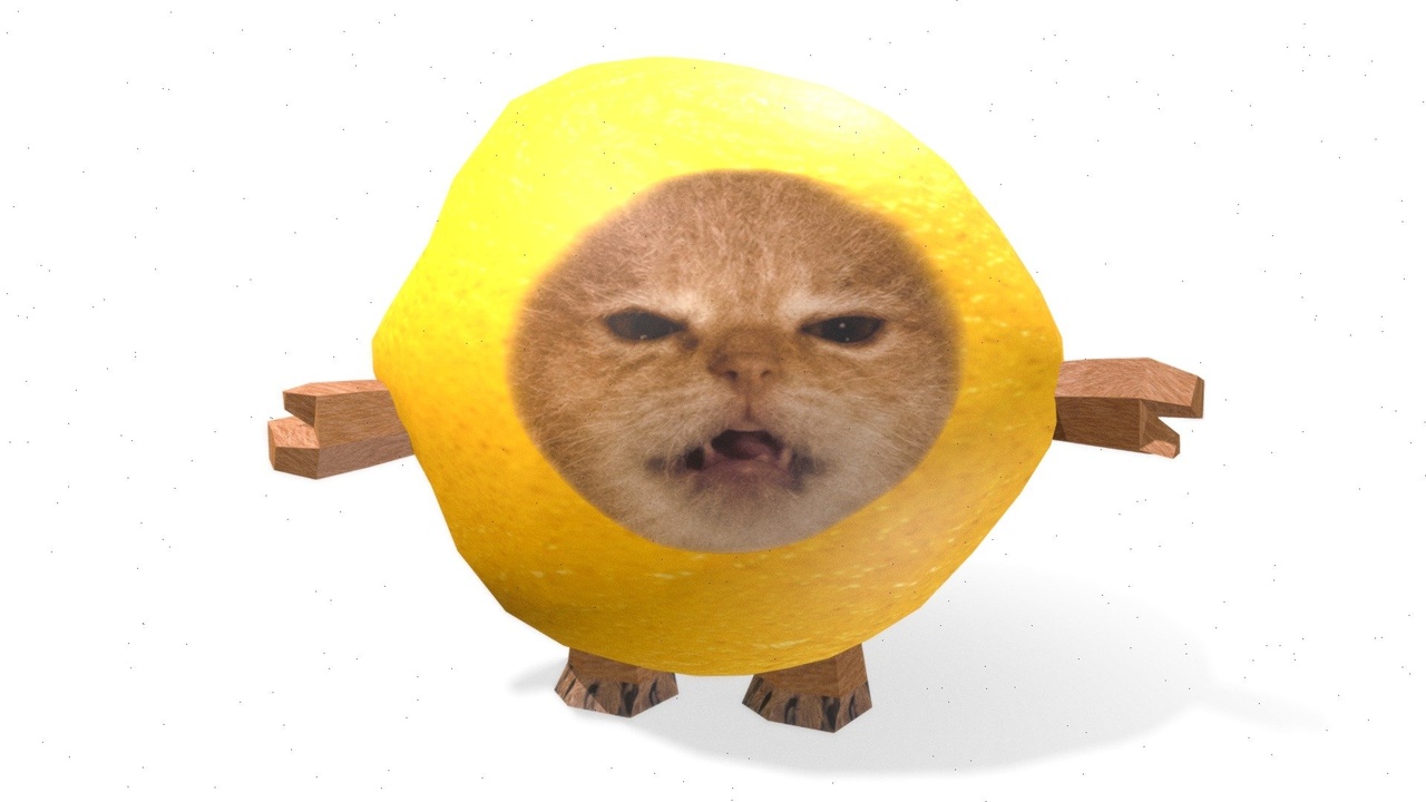 Media 1 for listing Evil Melon Cat😡