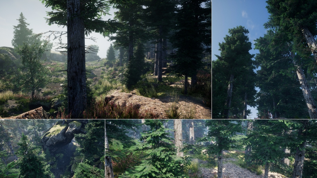 Media 1 for listing Environment Set