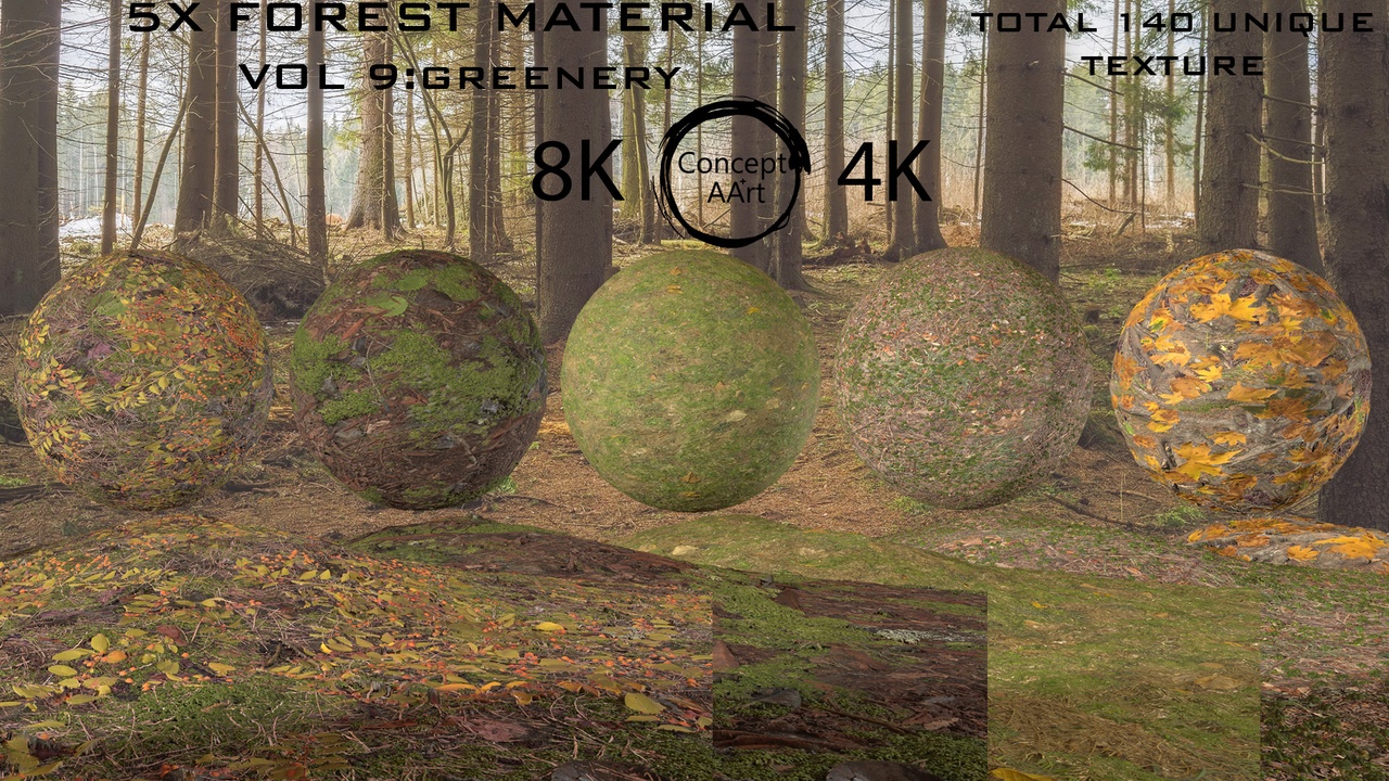 Media 1 for listing FOREST COLLECTION