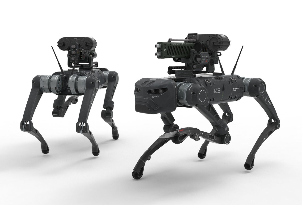 Media 1 for listing Military Robot Dog with a gun