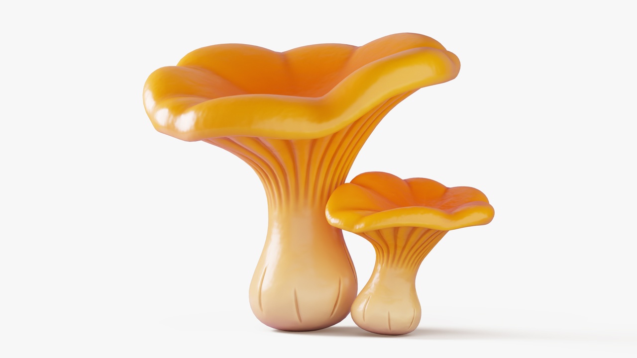 Media 1 for listing Cartoon Chanterelle Mushrooms