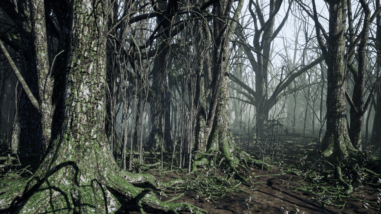 Dark Forest | Fab