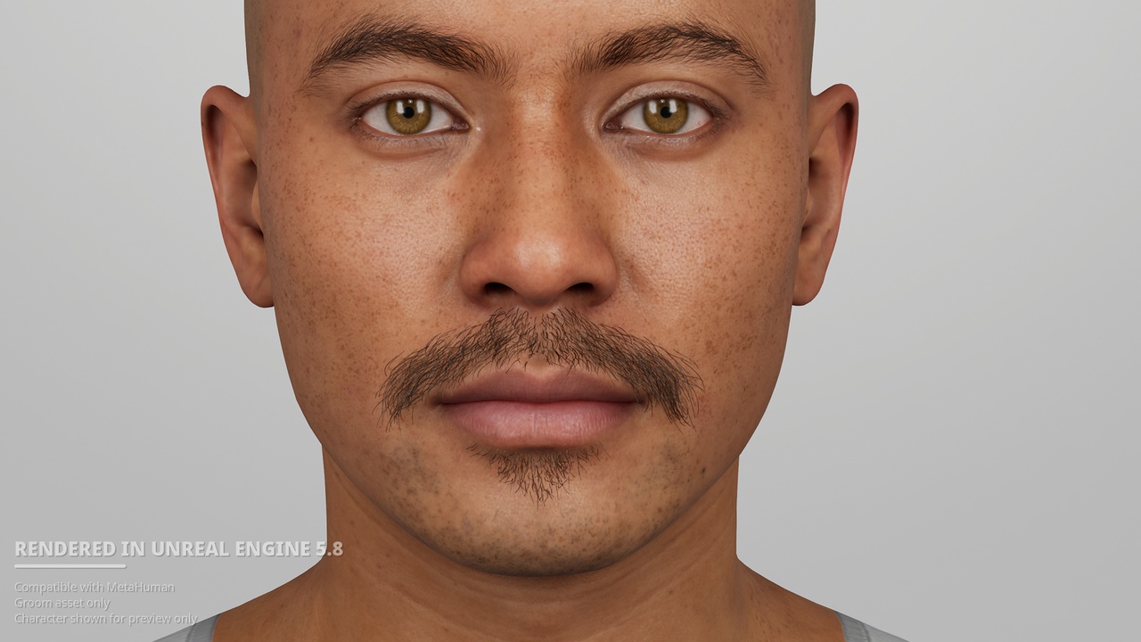 Media 1 for listing Natural Chevron Mustache & Soul Patch – MetaHuman Groom