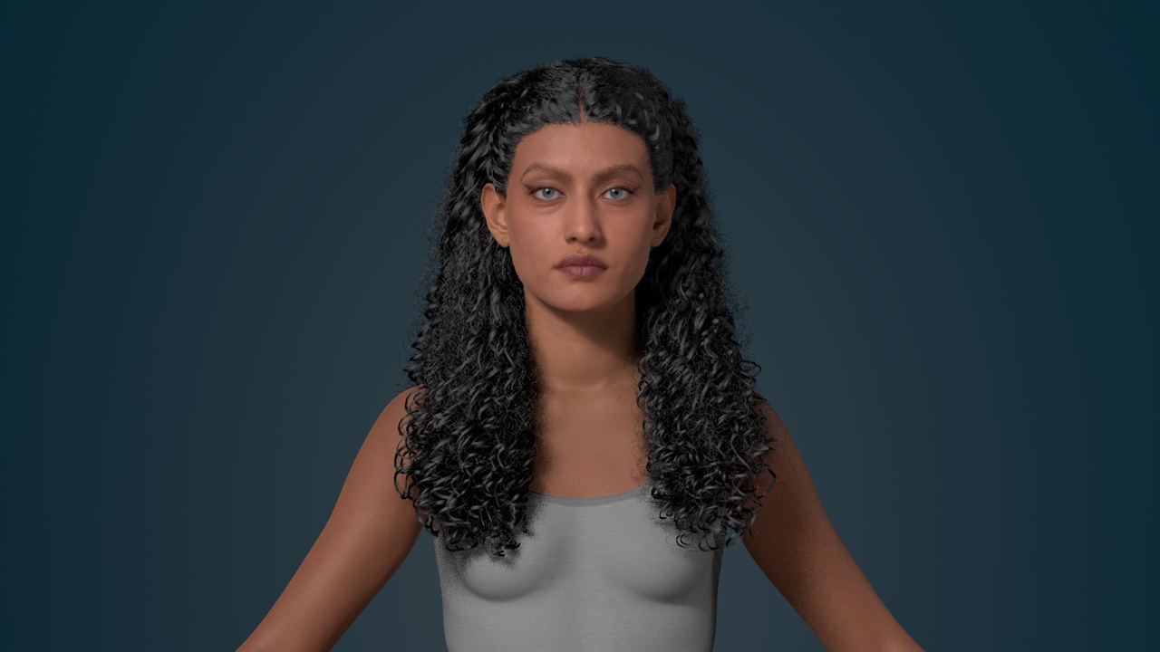Media 1 for listing Meta Human hair African curly Groom