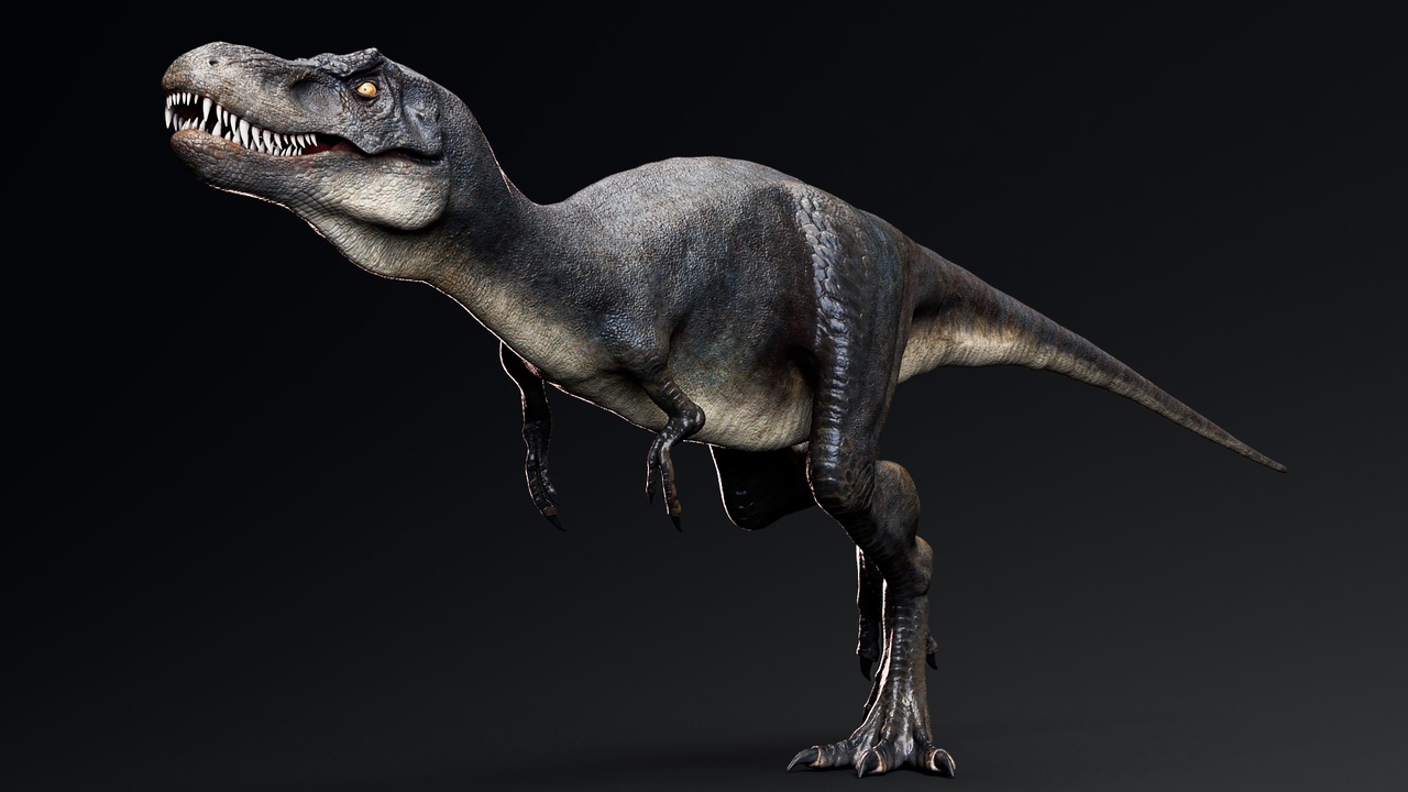 Media 1 for listing Dinosaur Juvenile Tyrannosaurus Rex - 117 Animations