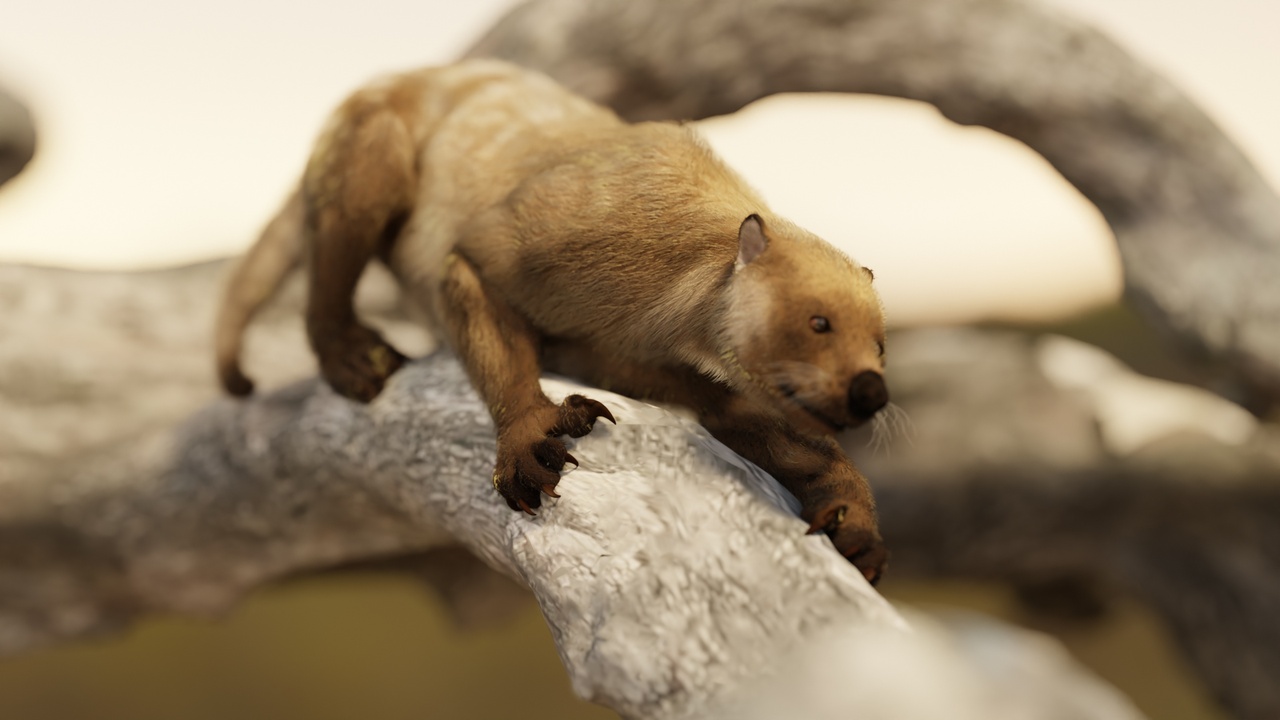 Media 1 for listing The Marsupial Lion