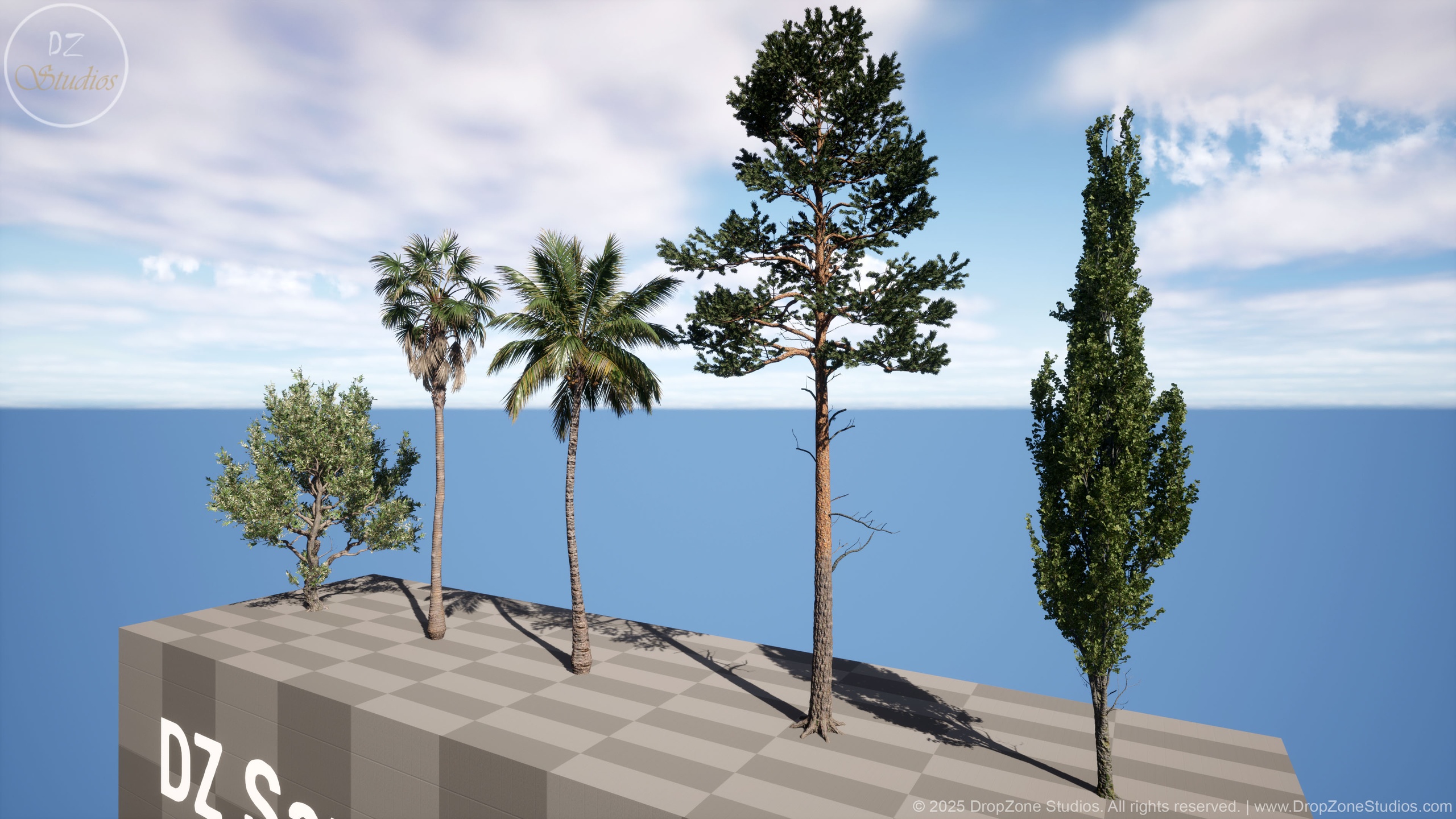 Media 1 for listing DZ Sample Trees
