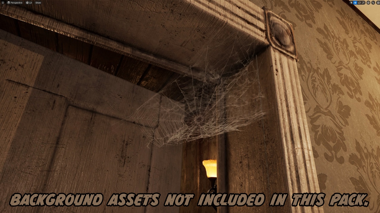 Media 1 for listing Realistic Spider Webs
