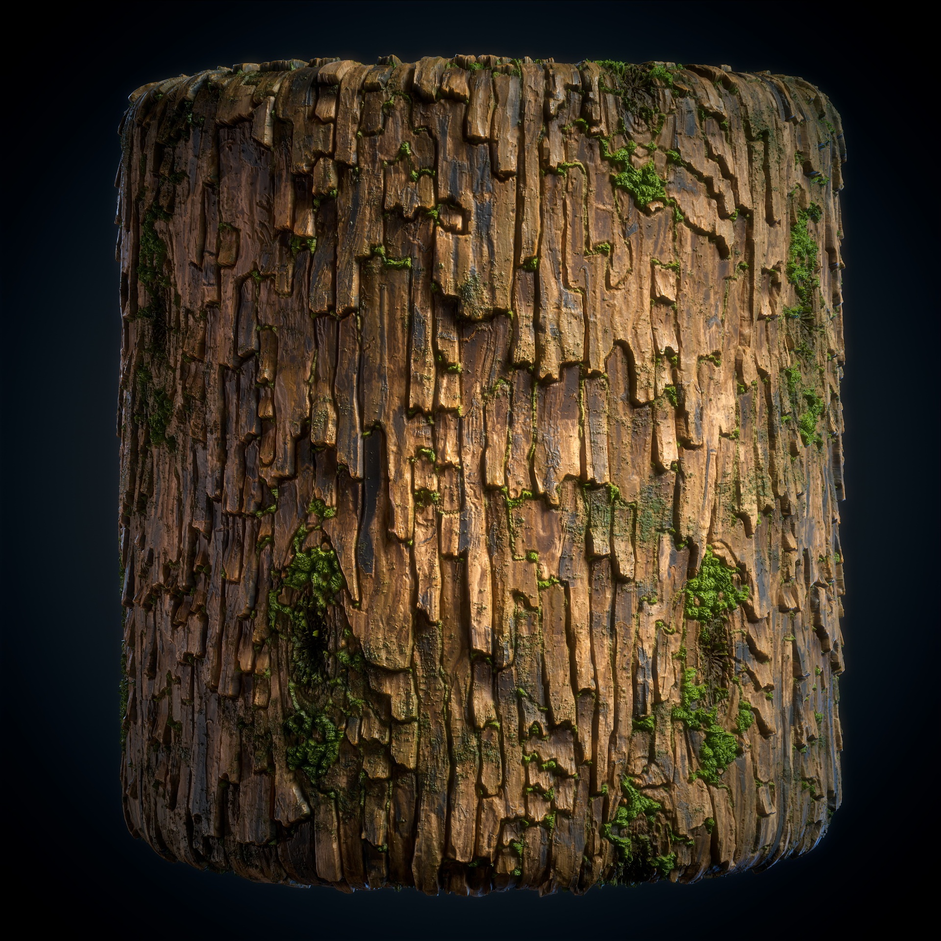 Media 1 for listing Tree Bark Texture & Material Vol. 06