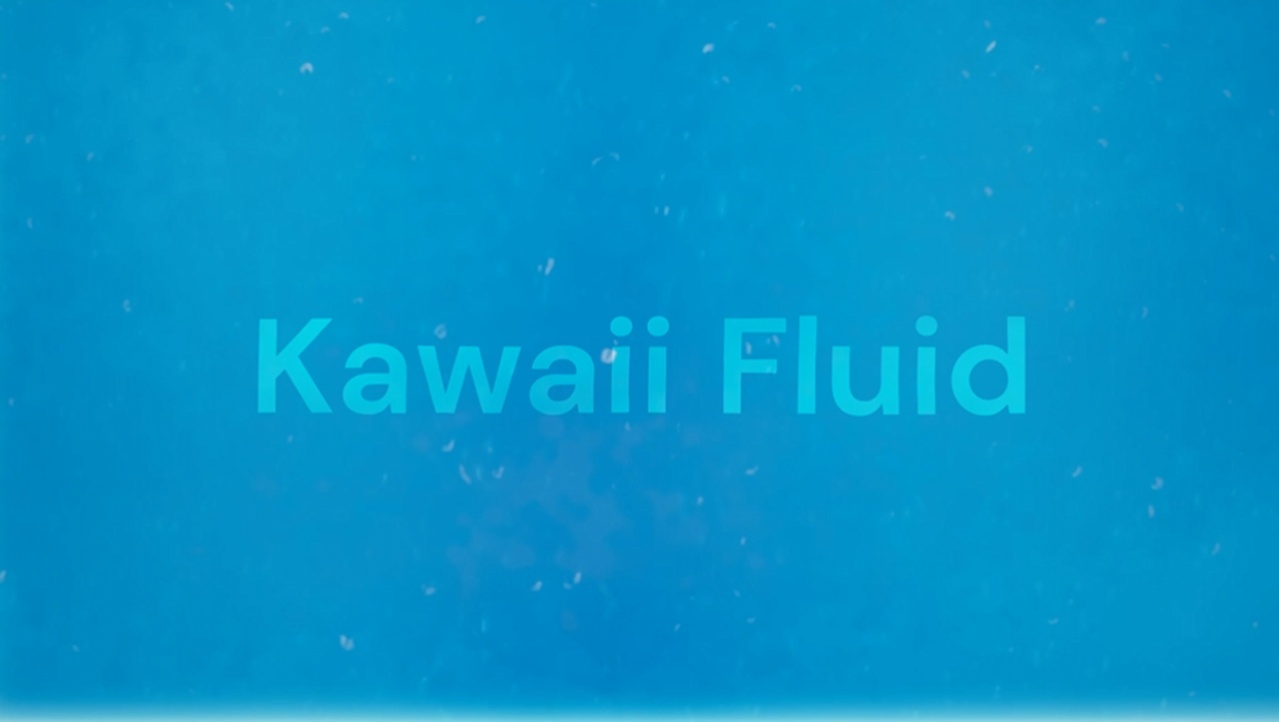 出品Kawaii Fluidのメディア1