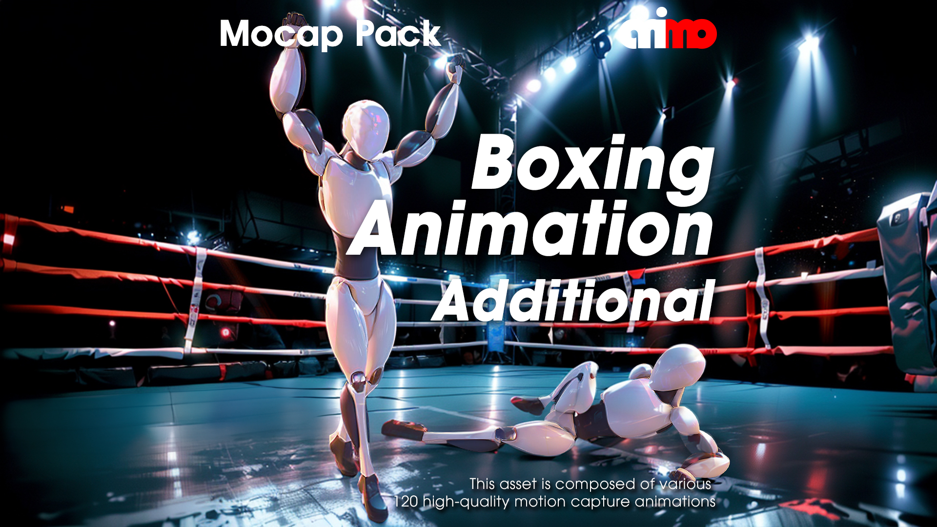 Boxing Animation Additional | Fab