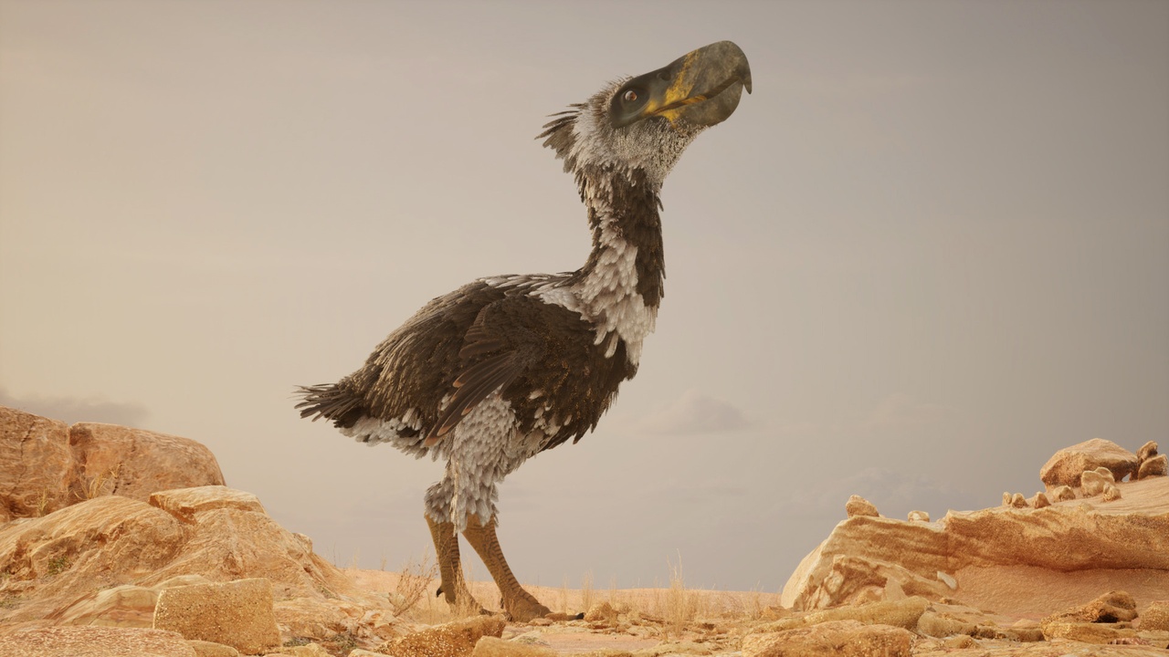 Media 1 for listing The Kelenken Terror Bird