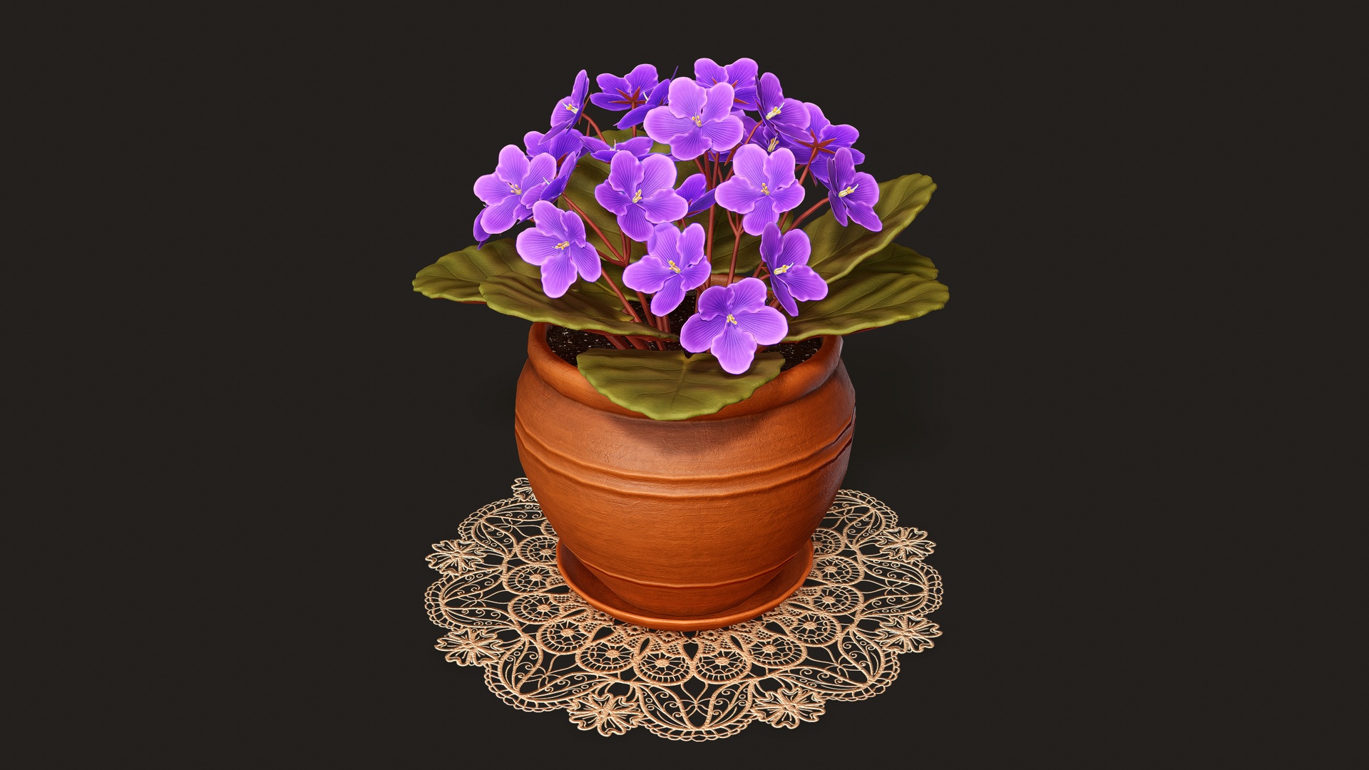Media 1 for listing Potted Plant Flower African Violet